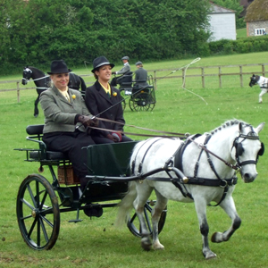 Sue at DriveTime Magazine with Willow a Welsh A at the BDS Sussex Show 